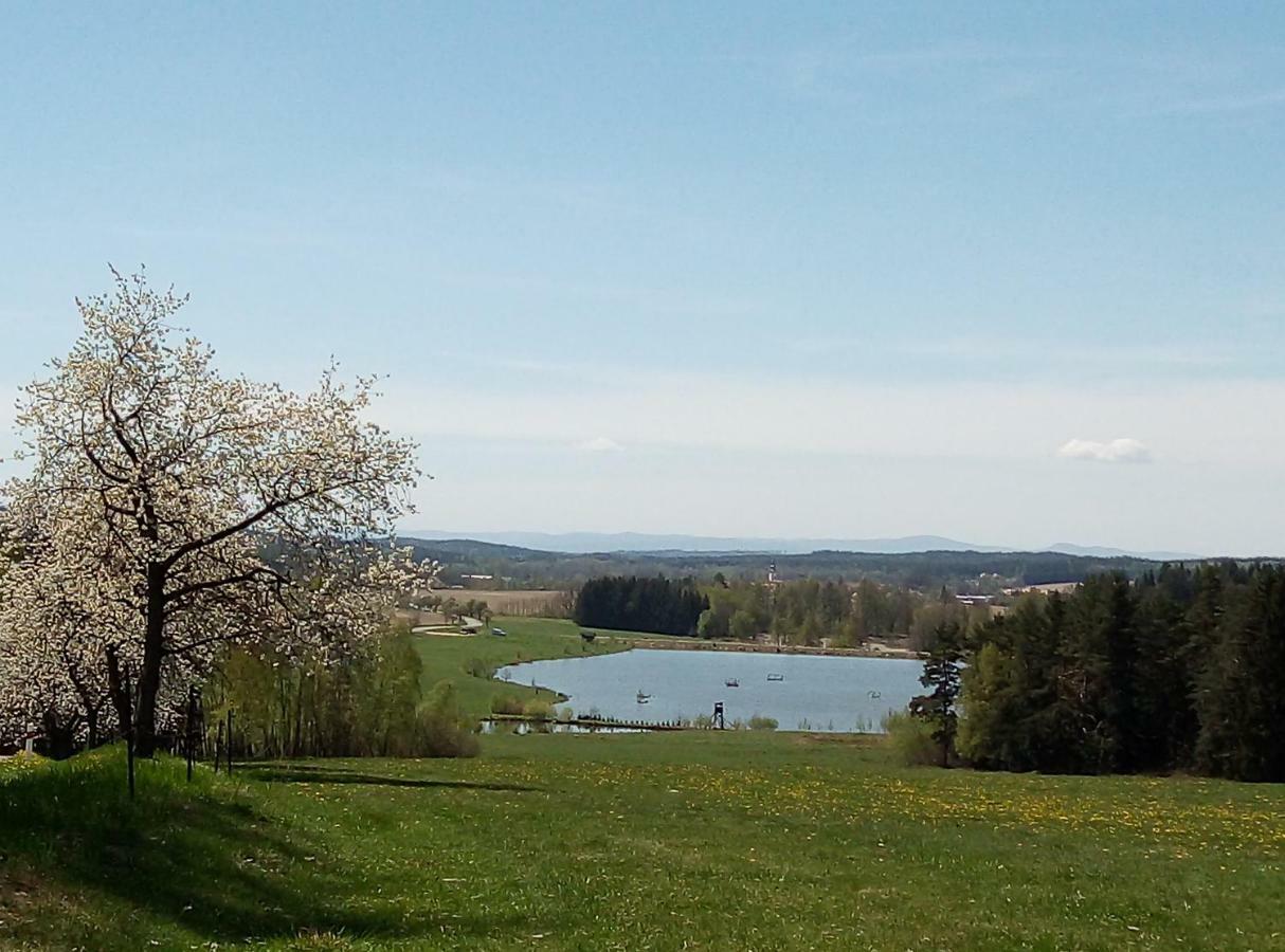 Penzion Hurky Nová Bystřice Buitenkant foto