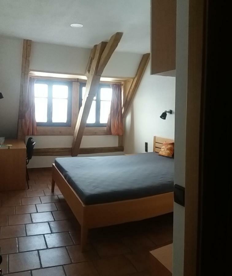 Penzion Hurky Nová Bystřice Buitenkant foto